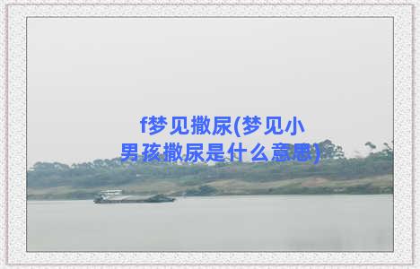 f梦见撒尿(梦见小男孩撒尿是什么意思)