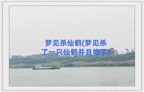 梦见杀仙鹤(梦见杀了一只仙鹤并且吃了)